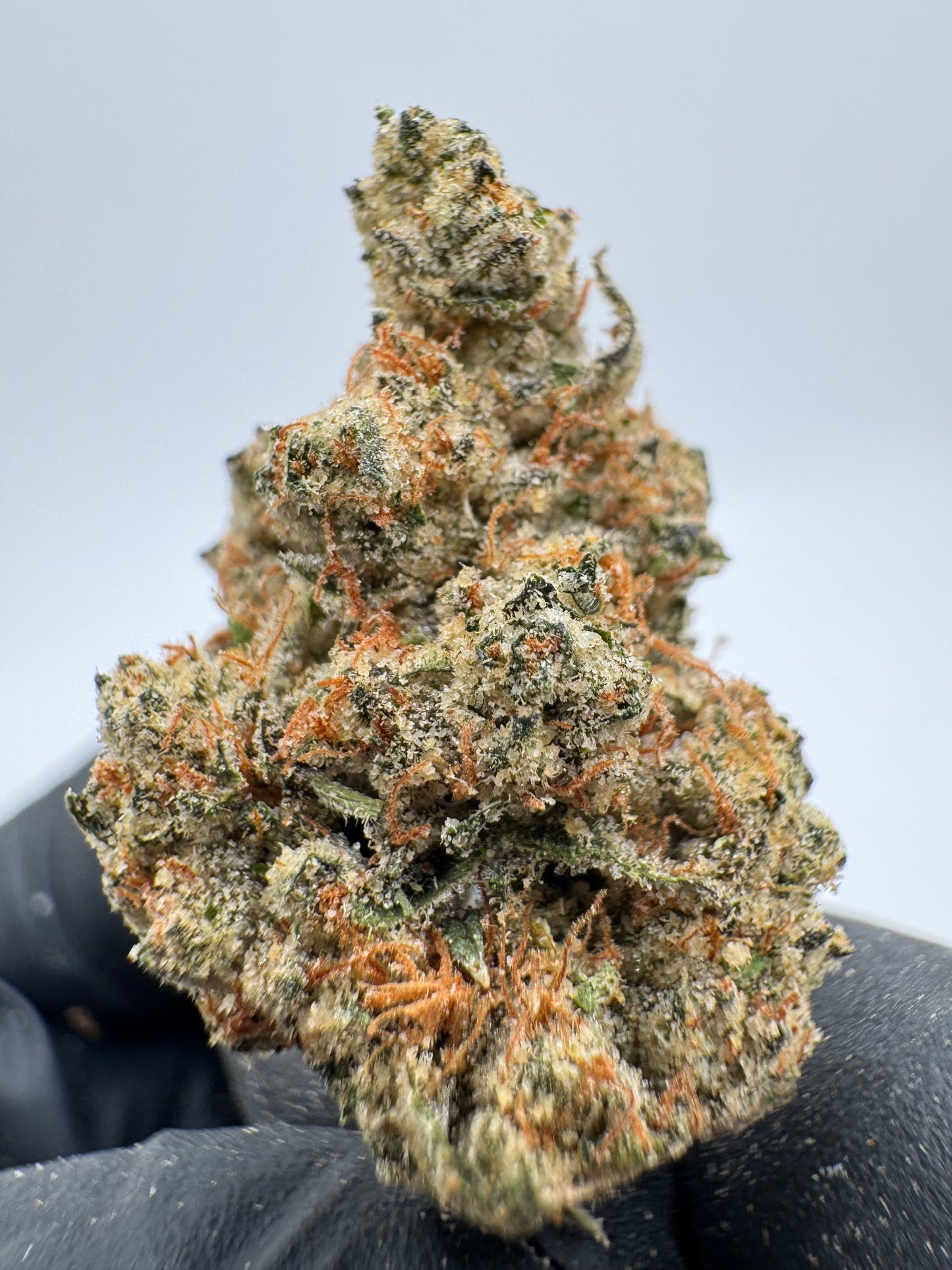 Donny Burger – Exotic THCa Flower