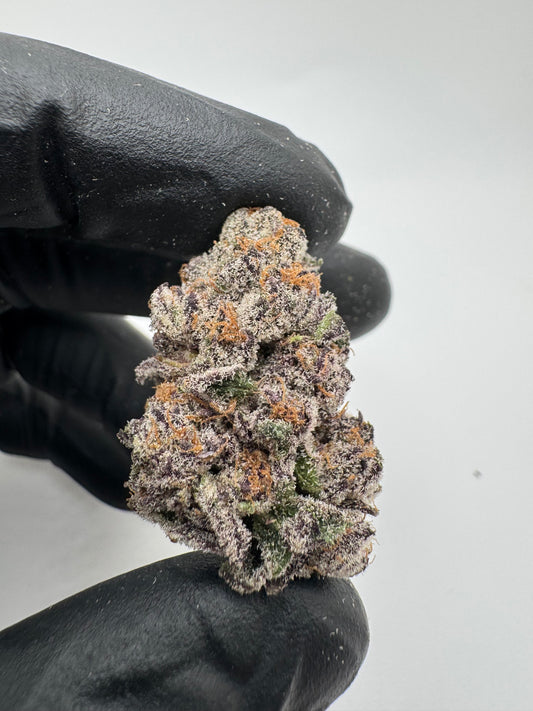 Gelato Punch – Exotic THCa Flower