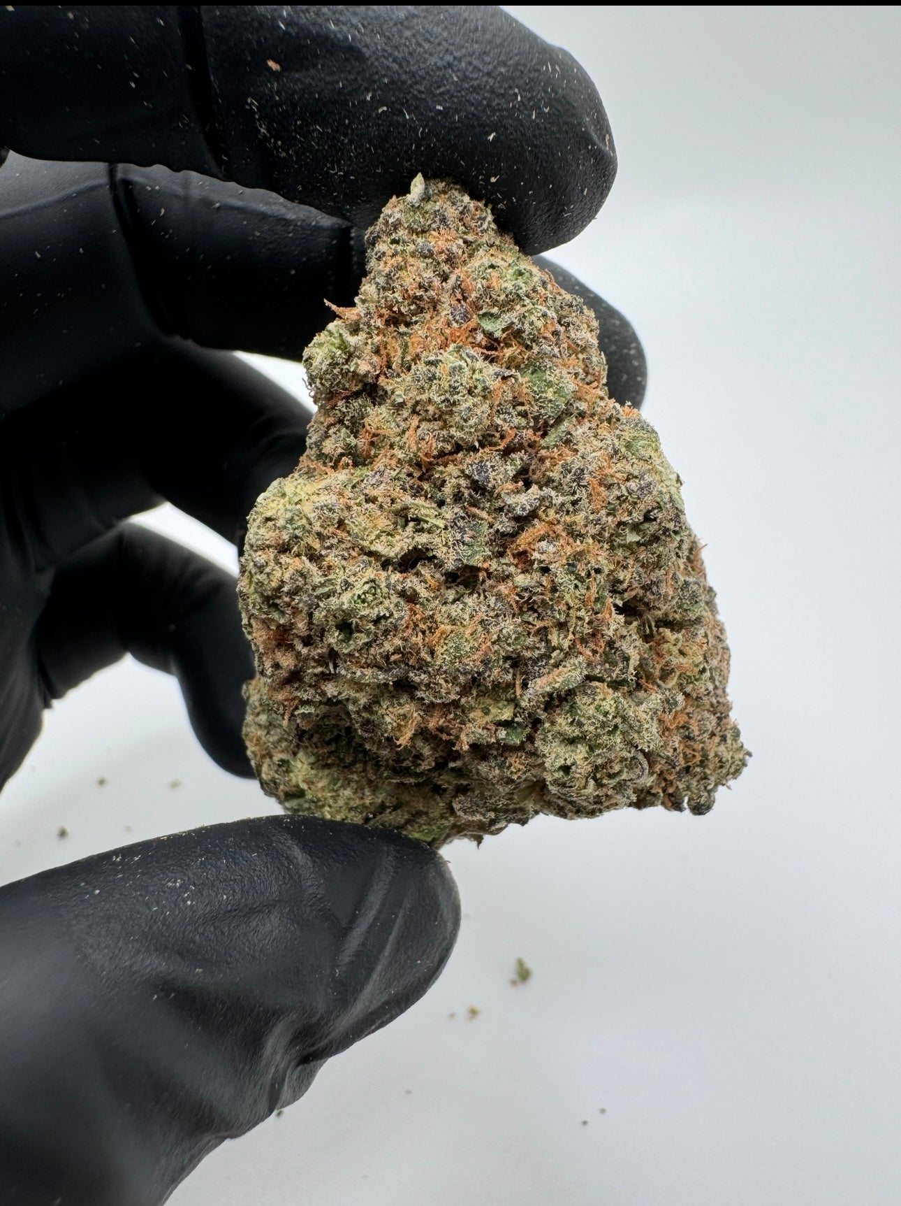 Jack Herer - Living Soil Exotic THCa Flower